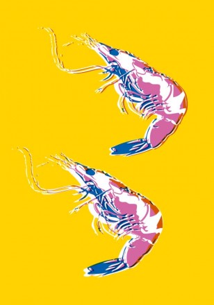 shrimps